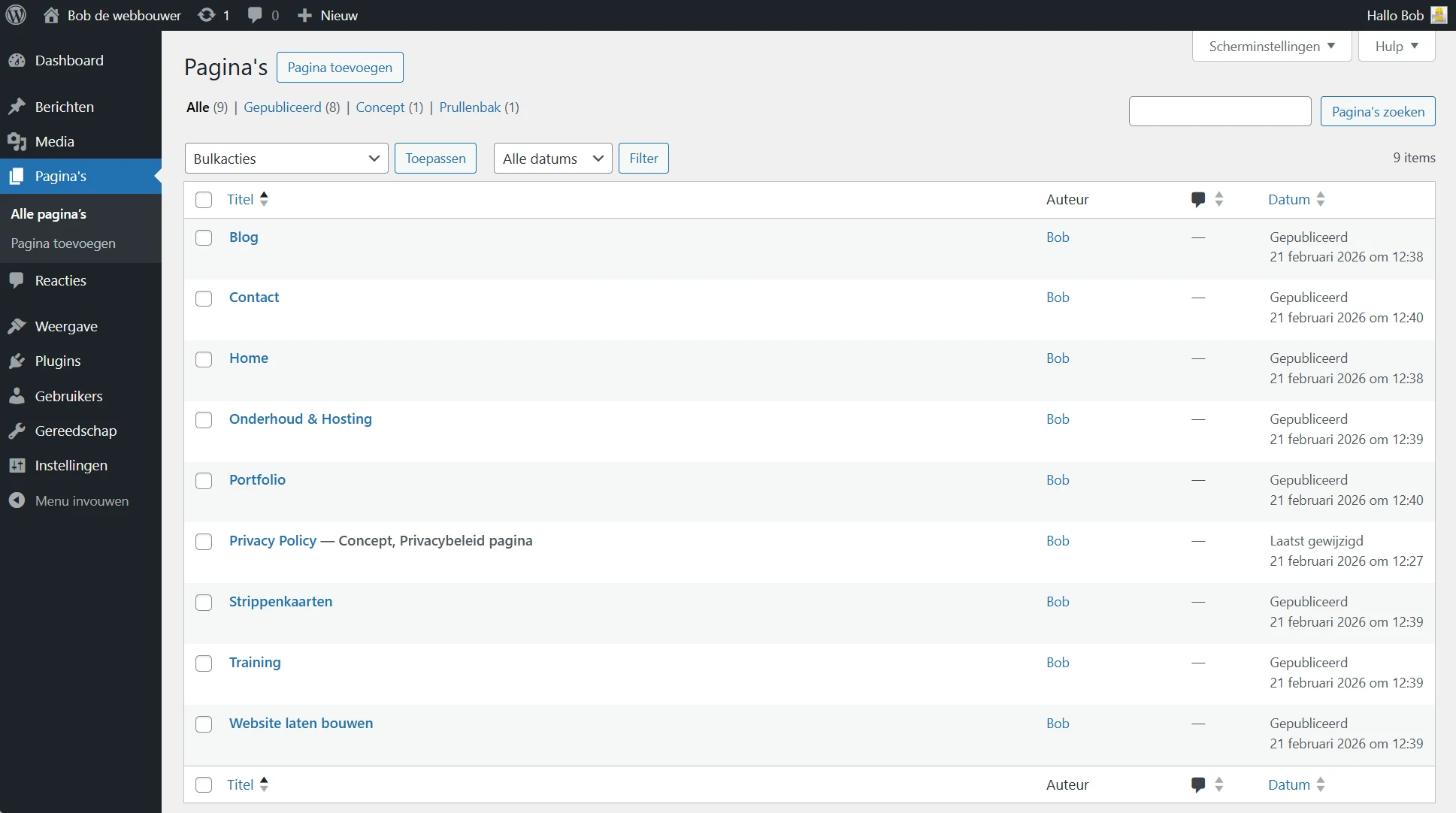 WordPress Handleiding pagina's